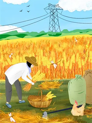 不原谅，不复合，重生千金杀疯了！苏冉苏莹免费完结版小说_小说完结不原谅，不复合，重生千金杀疯了！苏冉苏莹